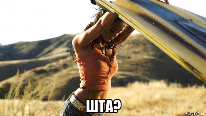  шта?, Мем Megan Denise Fox