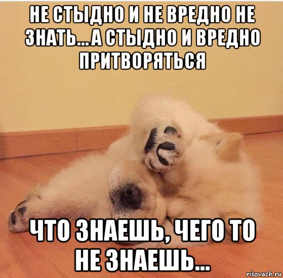 не стыдно и не вредно не знать… а стыдно и вредно притворяться что знаешь, чего то не знаешь..., Мем МНЕ ТАК СТЫДНО МНЕ ТАК СТЫДНО МНЕ ТАК СТЫДНО