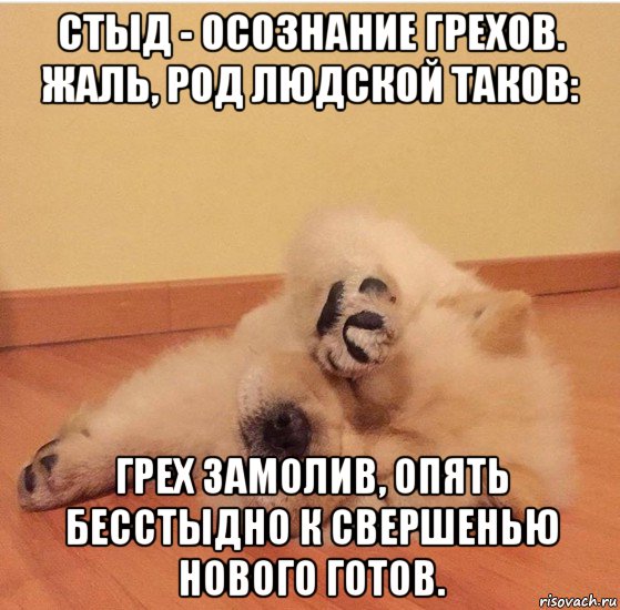 стыд - осознание грехов. жаль, род людской таков: грех замолив, опять бесстыдно к свершенью нового готов., Мем МНЕ ТАК СТЫДНО МНЕ ТАК СТЫДНО МНЕ ТАК СТЫДНО