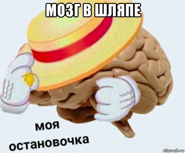 мозг в шляпе 
