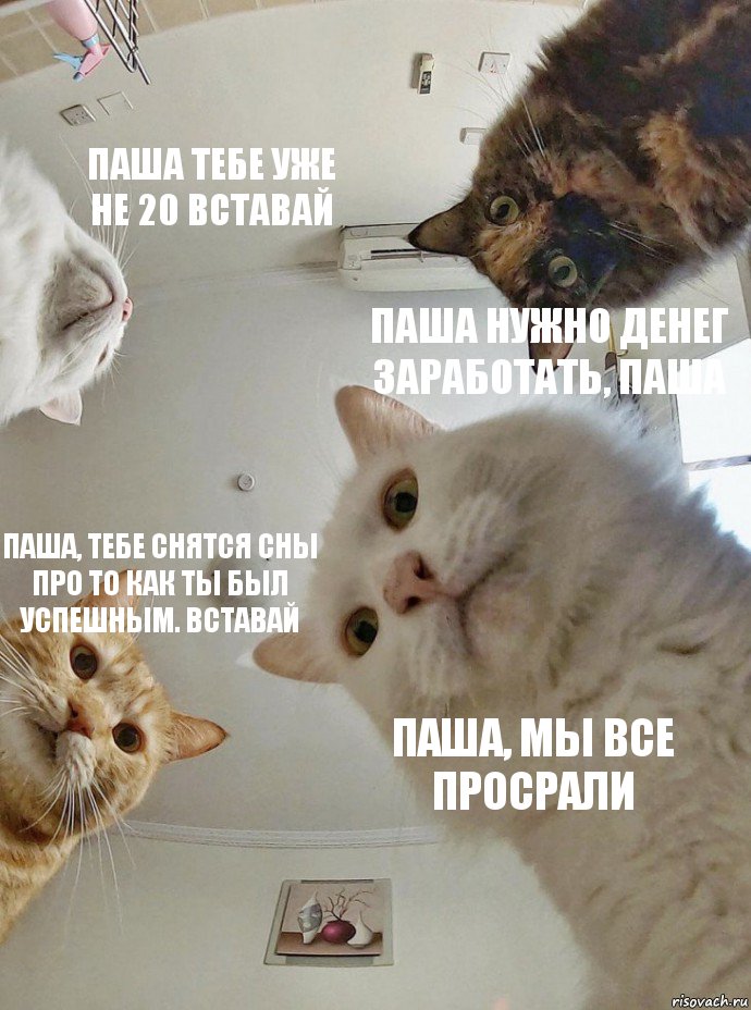 Паша тебе уже не 20 вставай Паша нужно денег заработать, Паша Паша, тебе снятся сны про то как ты был успешным. Вставай Паша, мы все просрали, Комикс  Наташа мы все уронили