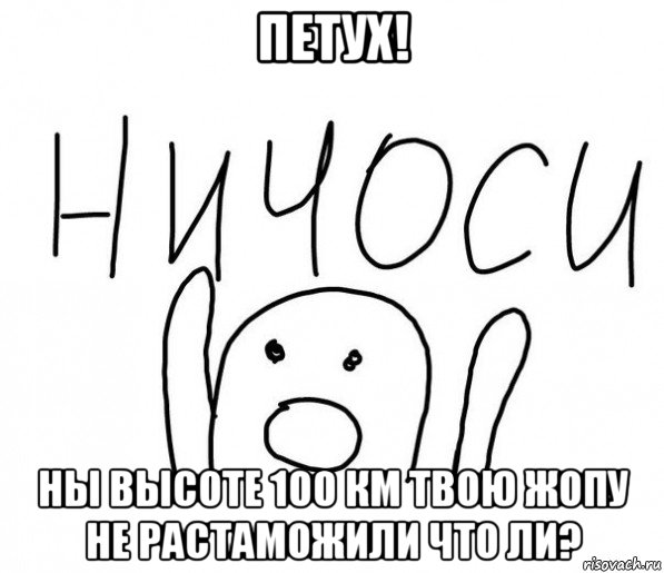 петух! ны высоте 100 км твою жопу не растаможили что ли?, Мем  Ничоси