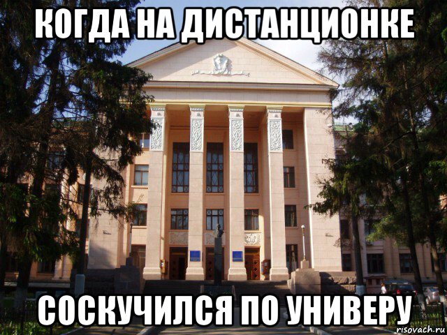 когда на дистанционке соскучился по универу, Мем Нму