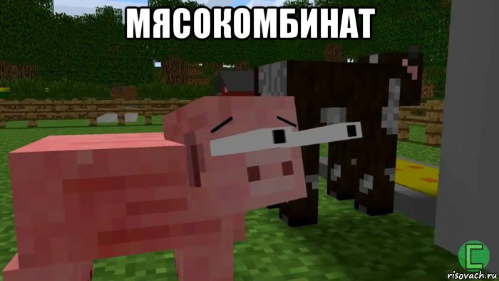 мясокомбинат , Мем Новый персонаж  -  Орущая свинья
