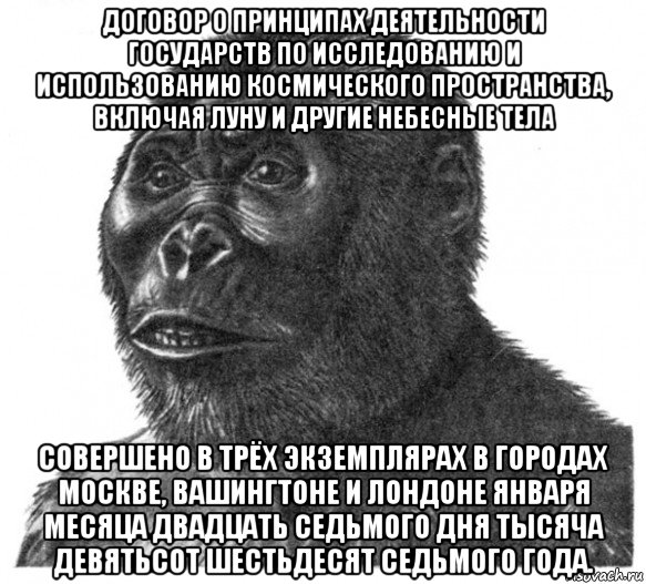 договор о принципах деятельности государств по исследованию и использованию космического пространства, включая луну и другие небесные тела совершено в трёх экземплярах в городах москве, вашингтоне и лондоне января месяца двадцать седьмого дня тысяча девятьсот шестьдесят седьмого года., Мем обезьяна