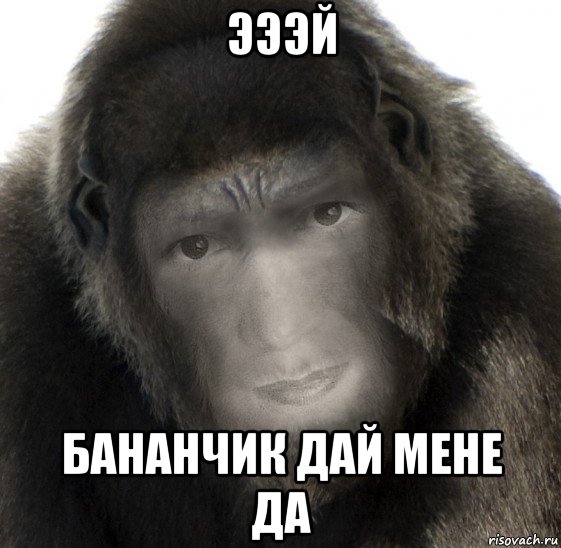 эээй бананчик дай мене да, Мем Одна знакомая горилла