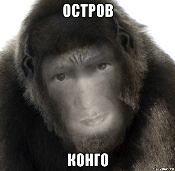 остров конго, Мем Одна знакомая горилла