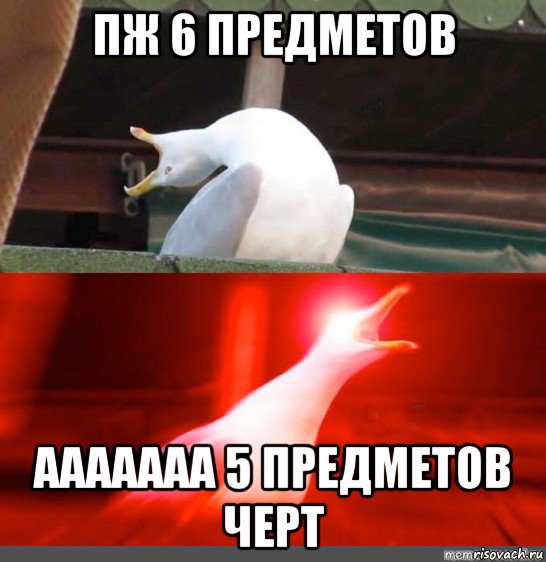 пж 6 предметов ааааааа 5 предметов черт