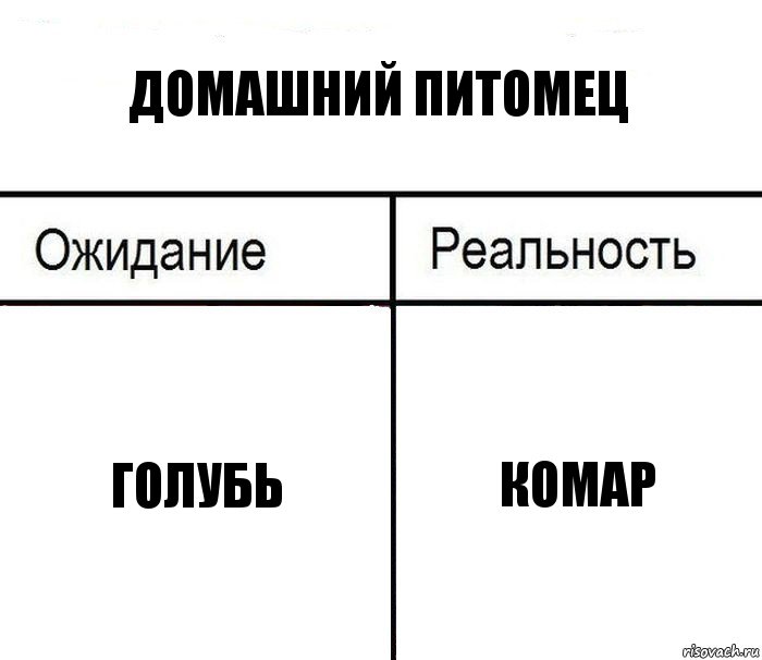 домашний питомец голубь комар, Комикс  Ожидание - реальность