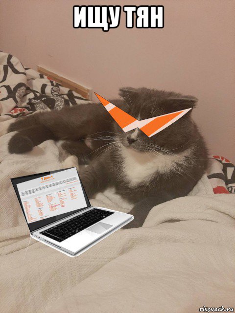 ищу тян , Мем Пашуха в дваче