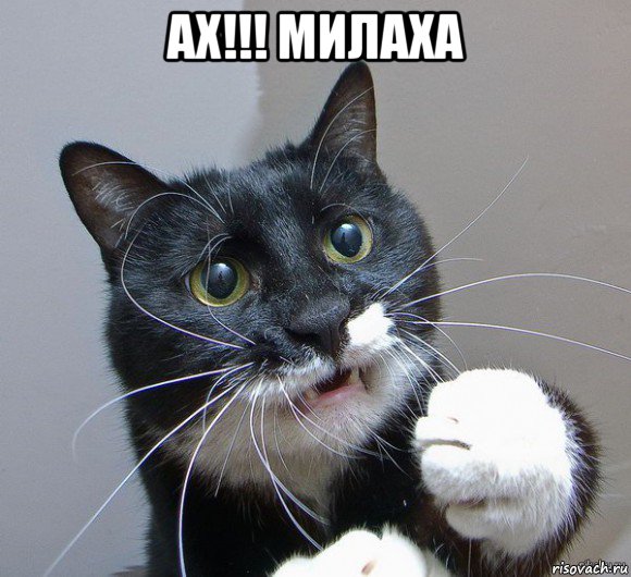 ах!!! милаха , Мем Печальный кот