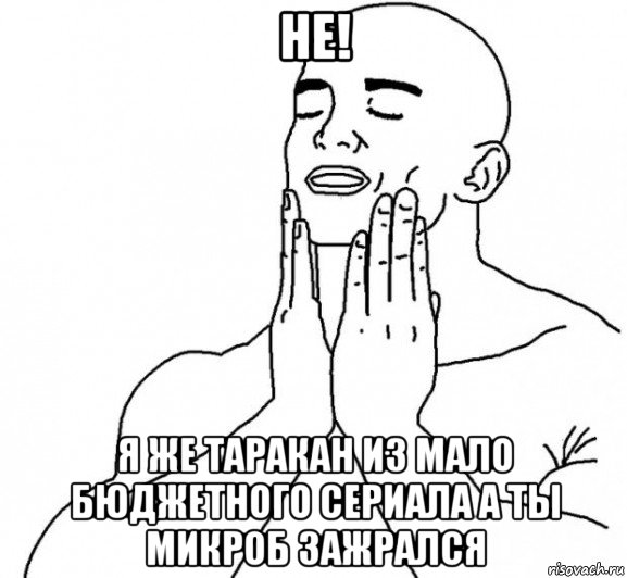 не! я же таракан из мало бюджетного сериала а ты микроб зажрался, Мем Перфекционист