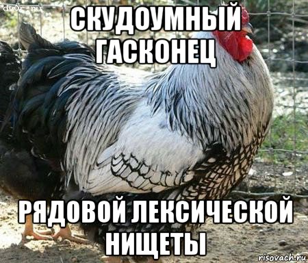 скудоумный гасконец рядовой лексической нищеты, Мем Петух