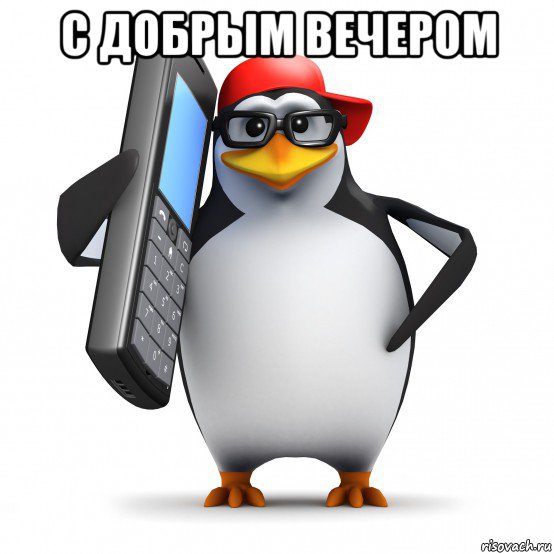 с добрым вечером 