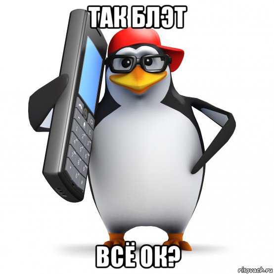 так блэт всё ок?, Мем   Пингвин звонит