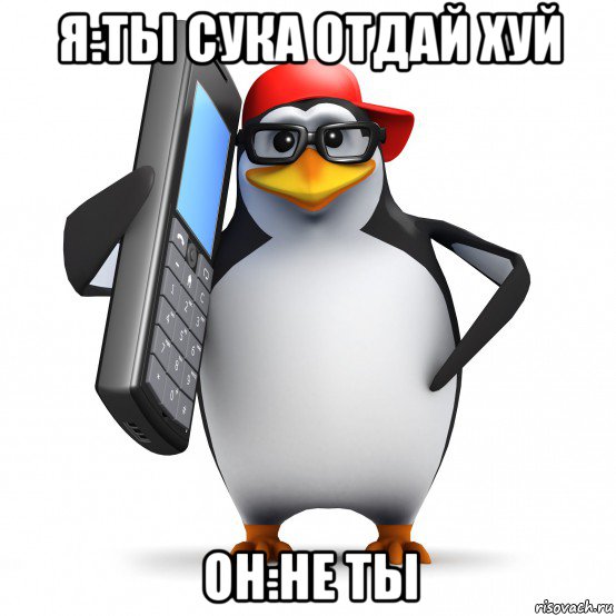 я:ты сука отдай хуй он:не ты, Мем   Пингвин звонит