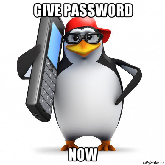 give password now, Мем   Пингвин звонит