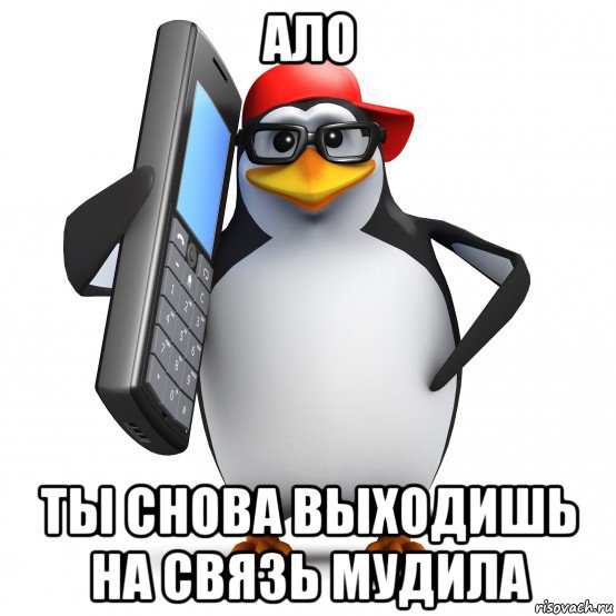 ало ты снова выходишь на связь мудила, Мем   Пингвин звонит