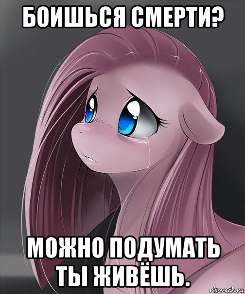 боишься смерти? можно подумать ты живёшь.