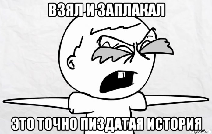 взял и заплакал это точно пиздатая история, Мем Плачущий лузер