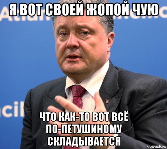 я вот своей жопой чую что как-то вот всё по-петушиному складывается