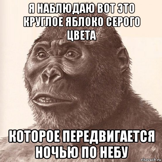 я наблюдаю вот это круглое яблоко серого цвета которое передвигается ночью по небу, Мем Приматопитек