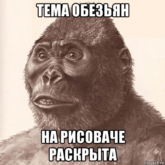 тема обезьян на рисоваче раскрыта, Мем Приматопитек