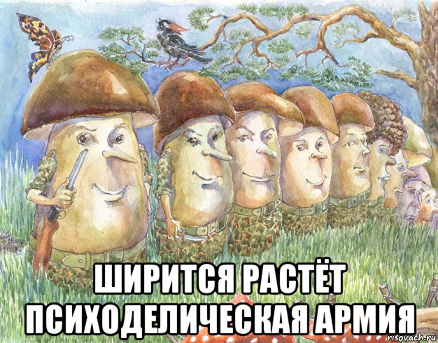  ширится растёт психоделическая армия, Мем Психоделия