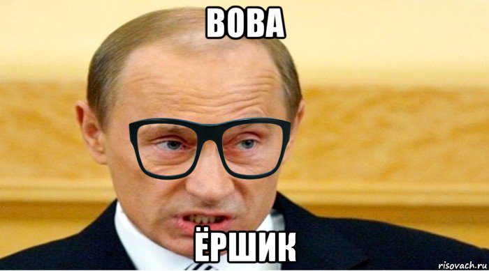 вова ёршик