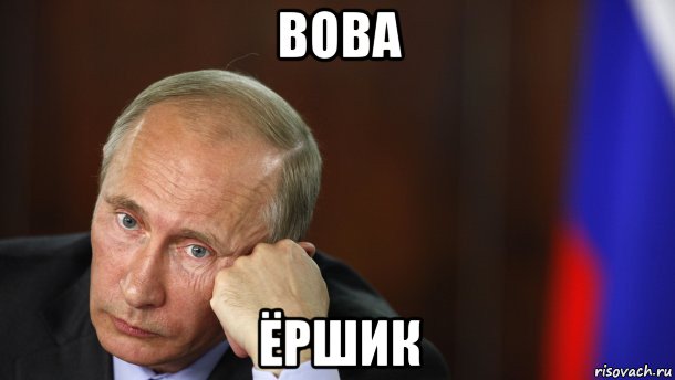 вова ёршик, Мем Путин