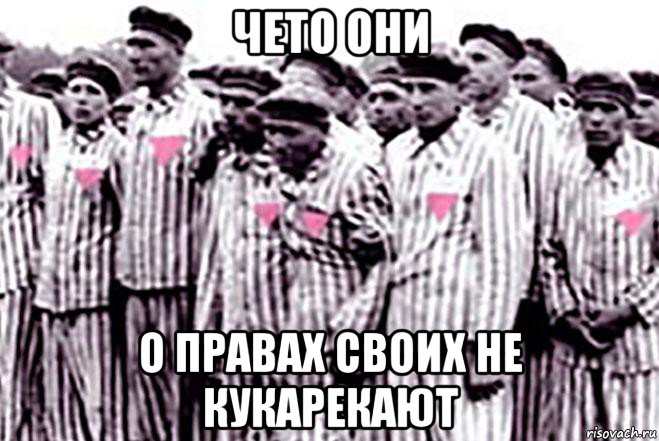 чето они о правах своих не кукарекают, Мем Розовый Треугольник