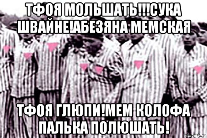 тфоя мольшать!!!сука швайне!абезяна мемская тфоя глюпи!мем колофа палька полюшать!, Мем Розовый Треугольник
