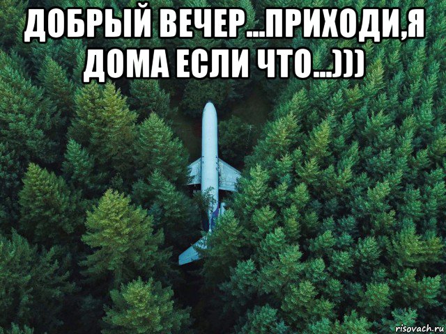 добрый вечер...приходи,я дома если что...))) , Мем Самолёт Зеленого Леса