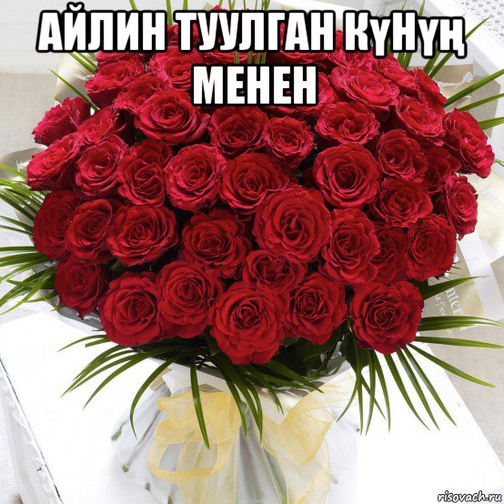 айлин туулган күнүң менен 