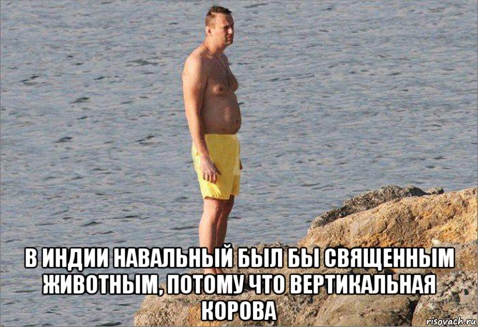  в индии навальный был бы священным животным, потому что вертикальная корова, Мем Сисян