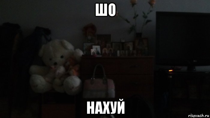 шо нахуй, Мем Спи