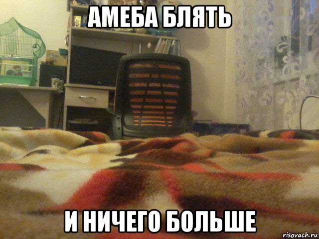 амеба блять и ничего больше