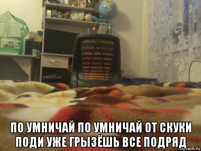  по умничай по умничай от скуки поди уже грызёшь все подряд, Мем Стул шумят