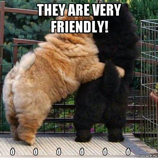 Мем They are very friendly
