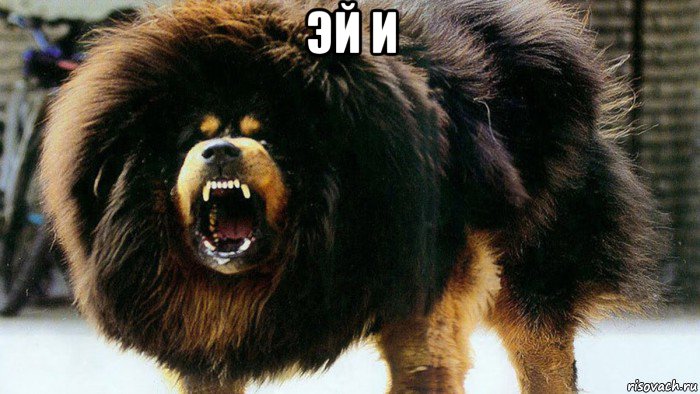 эй и 