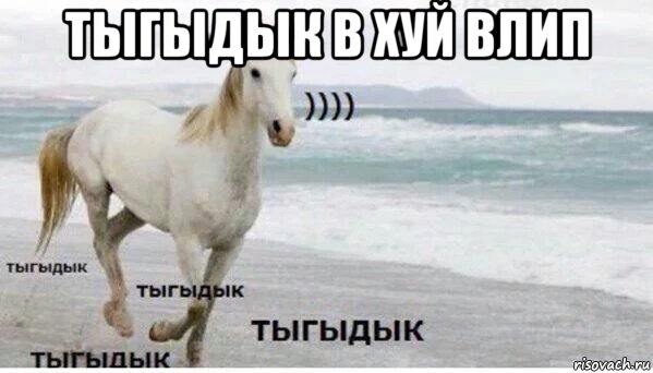 тыгыдык в хуй влип , Мем   Тыгыдык