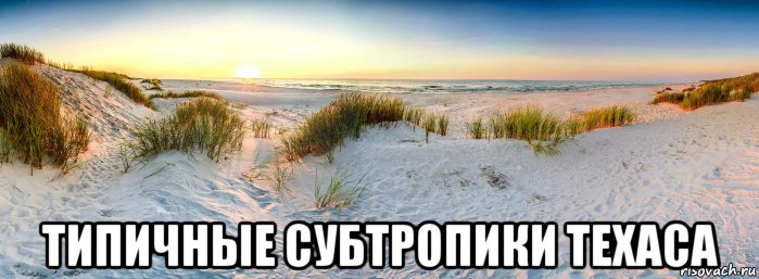  типичные субтропики техаса, Мем Типичные субтропики Техаса - Galveston