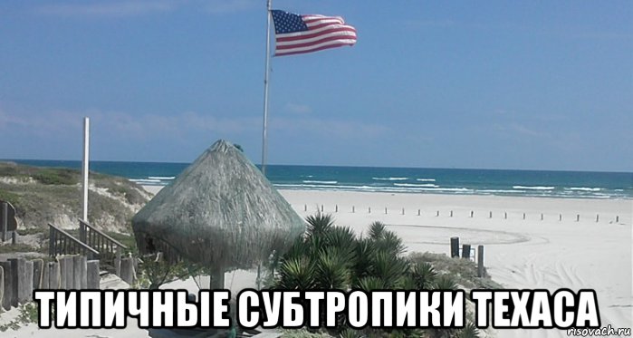  типичные субтропики техаса, Мем Типичные субтропики Техаса - Port-Aransas