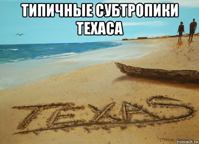 типичные субтропики техаса , Мем Типичные субтропики Техаса