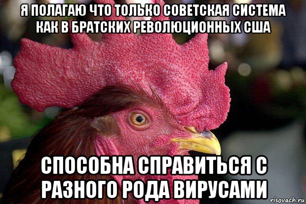 я полагаю что только советская система как в братских революционных сша способна справиться с разного рода вирусами