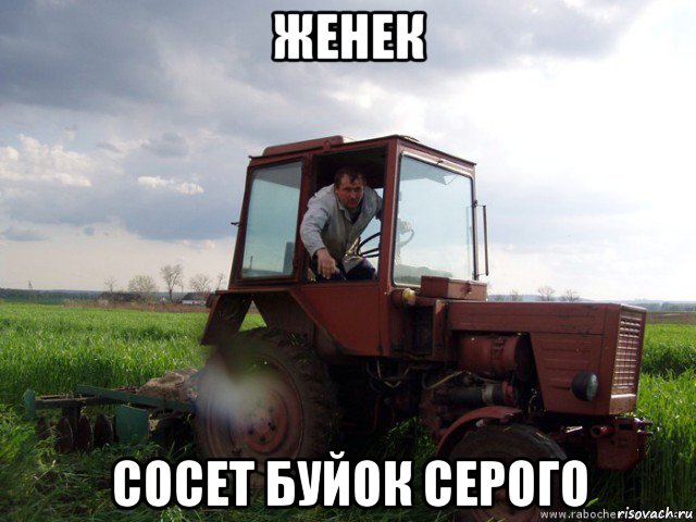 женек сосет буйок серого, Мем Тракторист