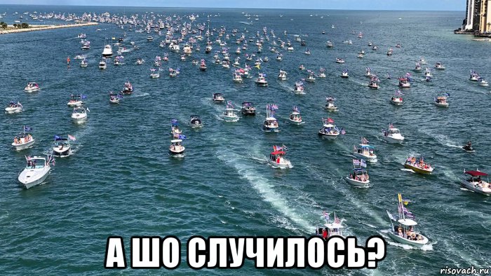  а шо случилось?, Мем Trump MAGA