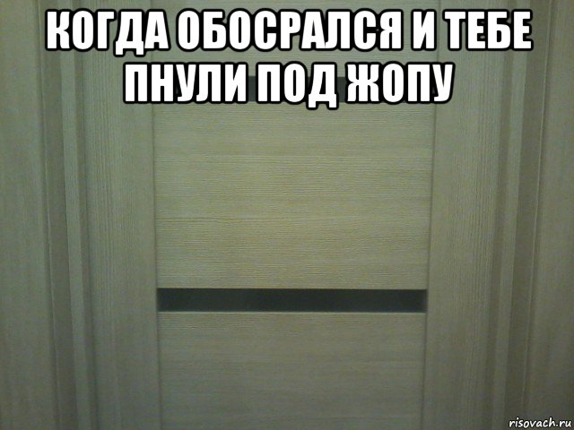 когда обосрался и тебе пнули под жопу , Мем Туалет