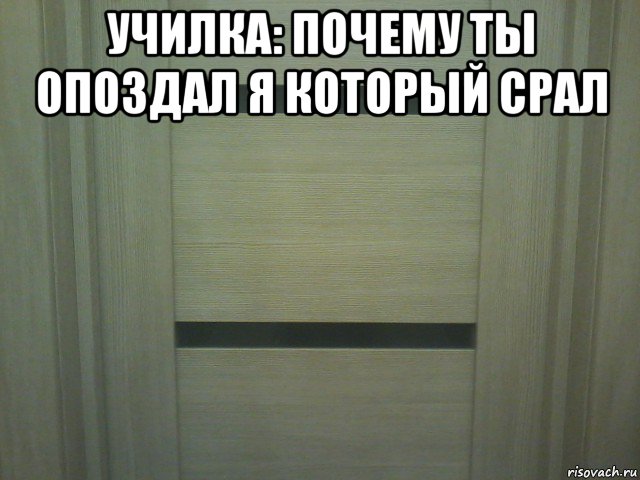 училка: почему ты опоздал я который срал , Мем Туалет