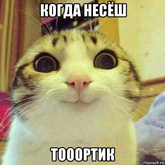 когда несёш тооортик